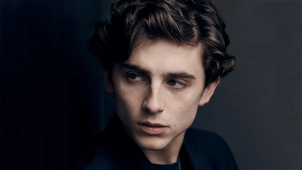 5 Film Yang Dibintangi Oleh Timothee Chalamet selain Wonka