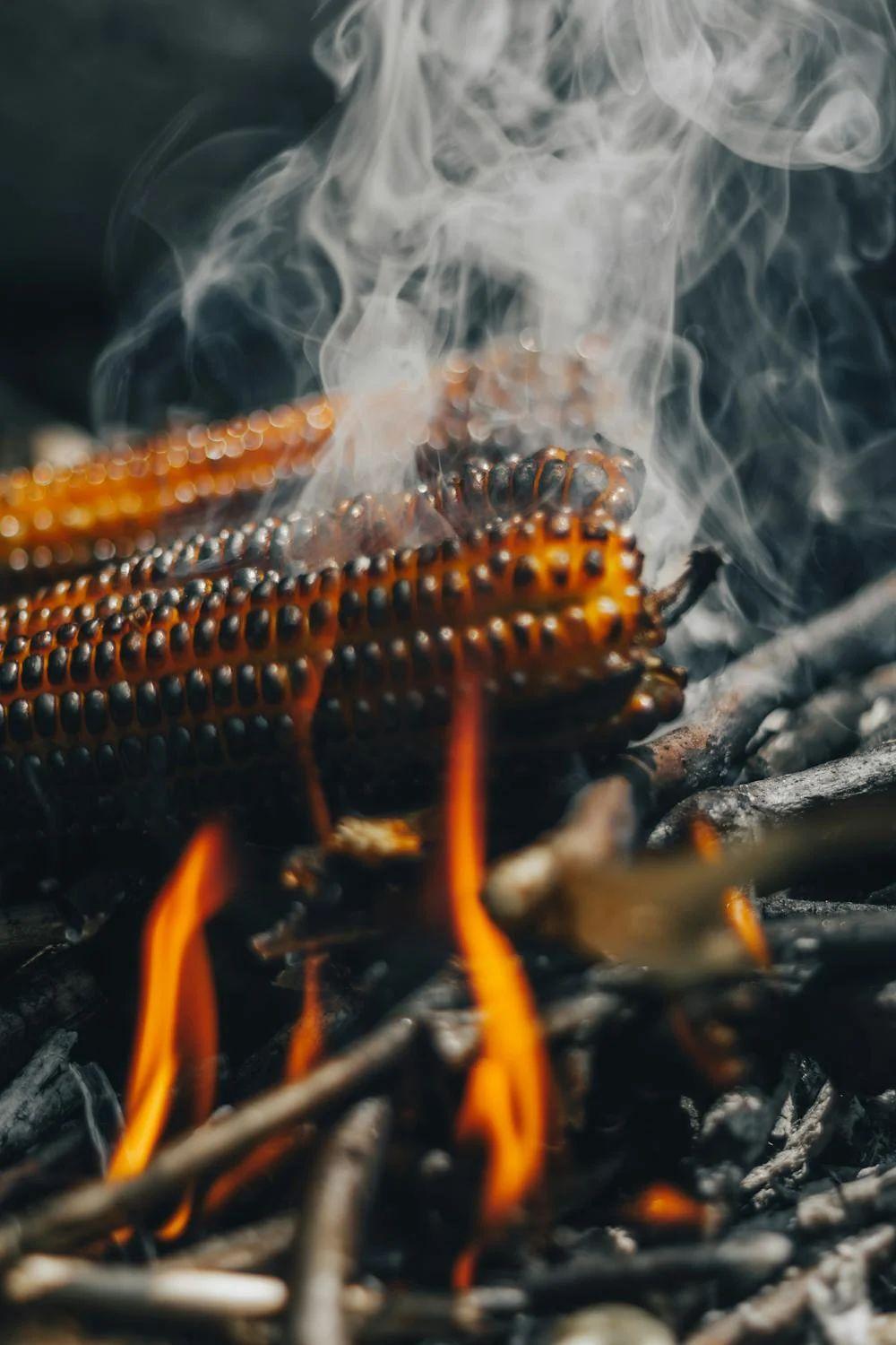 Kenapa Makanan yang Dibakar Berpotensi Menyebabkan Penyakit Kanker?