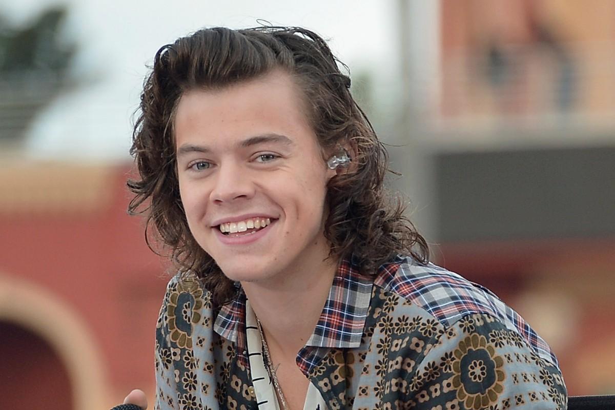 Harry Styles: Lanjut Bareng One Direction atau Pilih Akting?