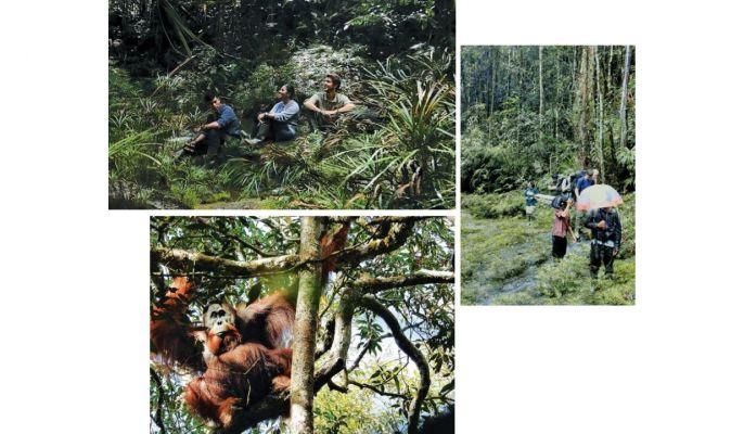 Berkawan dengan Orang Utan