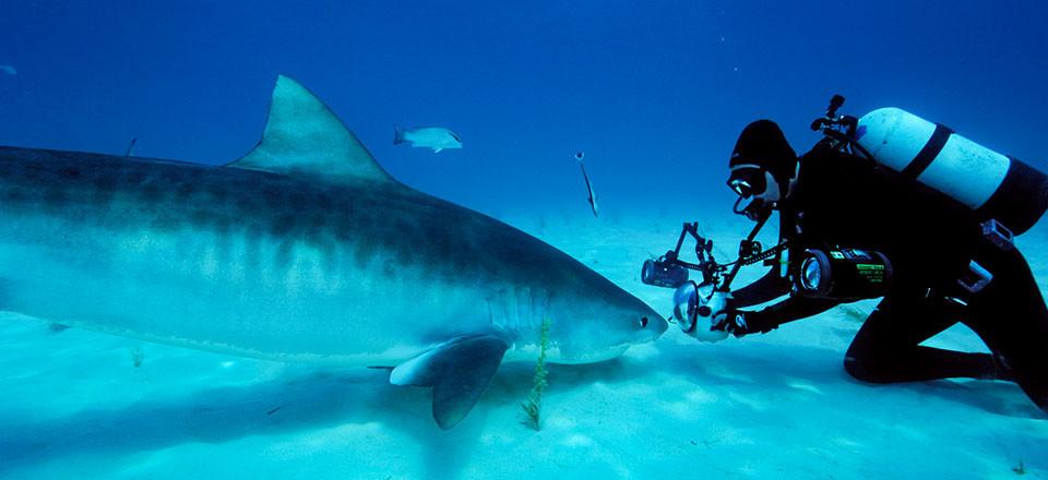 Alat Underwater Photography yang Wajib Kamu Bawa