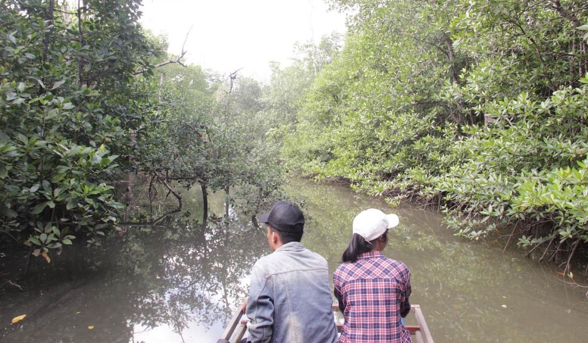 Hal yang Nggak Boleh Dilakukan di Hutan Mangrove