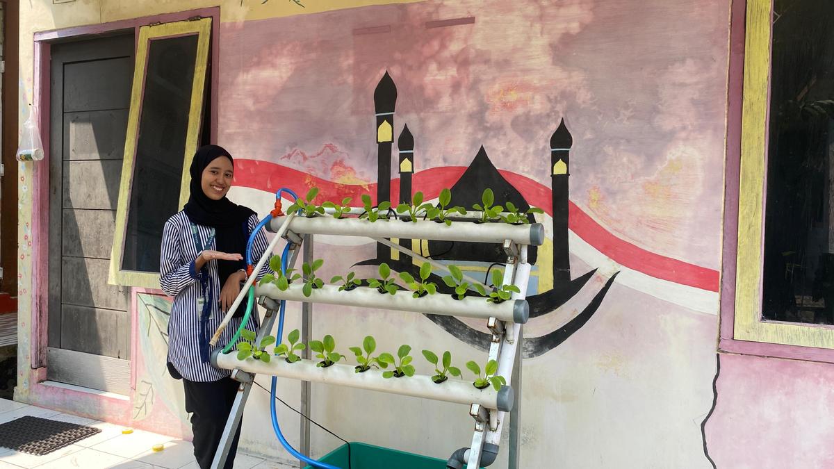 KKN 110 Undip Hadirkan Aquaponik di Srondol Wetan sebagai Solusi Pangan Bergizi Cegah Stunting