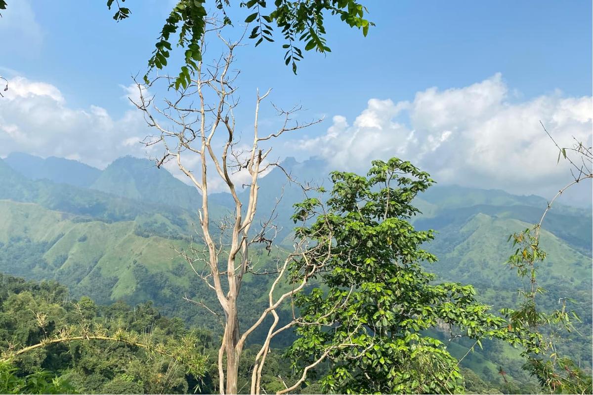 5 Gunung di Wilayah Jawa Timur yang di Rekomendasikan Bagi Pendaki Pemula