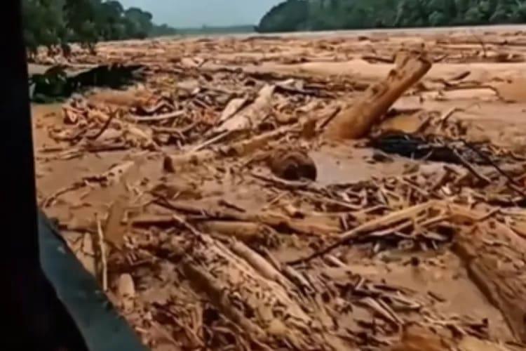 Di Balik Banjir Sumatera: Kayu Gelondongan dan Misteri Tanpa Tersangka