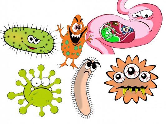 Kuman Yang Berkembang Saat Kamu Lupa Potong Kuku